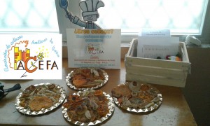IITallerReposNinos-(10)