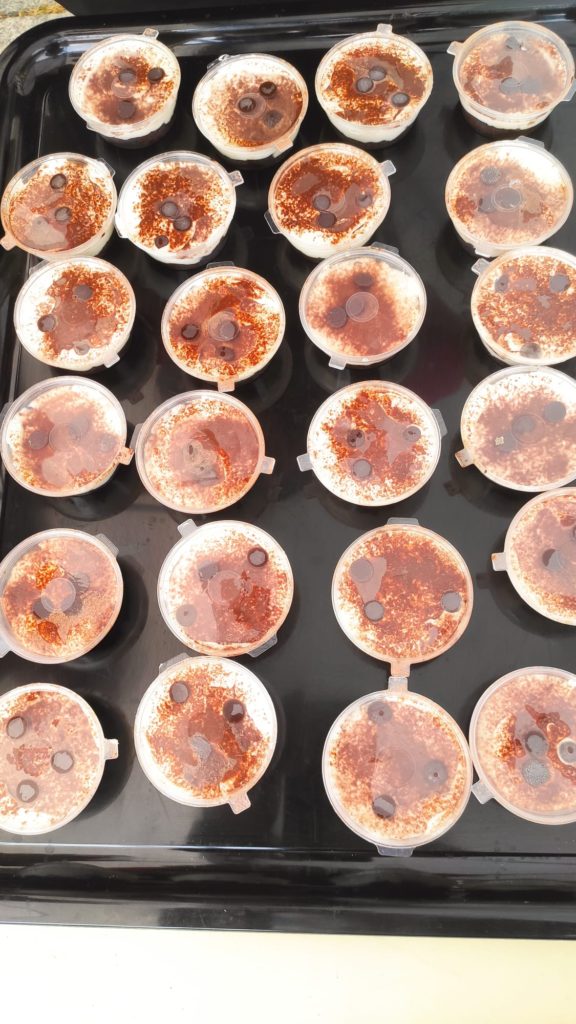 Vasitos de tiramisú rápido Sin gluten 